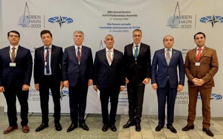 Делегация Азербайджана принимает участие в ежегодной сессии ПА НАТО