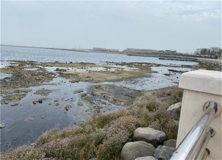 За последние 10 лет уровень воды в Каспийском море понизился на 114 см