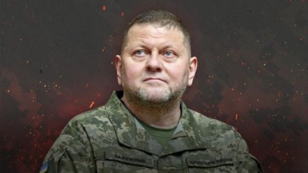 Залужного предложили выдвинуть в президенты Украины