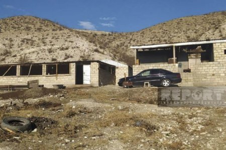 Подробности жестокого убийства 25-летнего мужчины в Товузском районе 