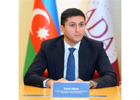 Назначен завсектором Администрации Президента Азербайджана по работе с НПО