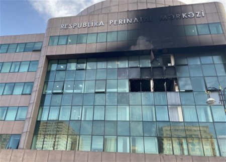 Арестованы директор и два должностных лица Перинатального центра