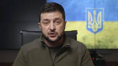 Зеленский заявил о планах ввести в Украине институт множественного гражданства