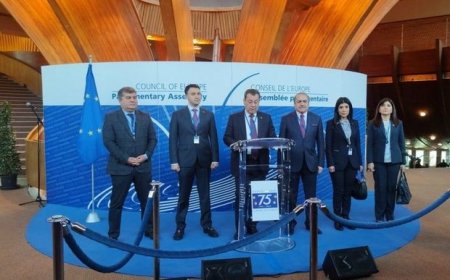 Азербайджанская делегация приостановила сотрудничество с ПАСЕ и участие в организации