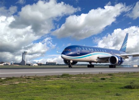 AZAL разыгрывает 100 бесплатных авиабилетов