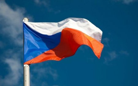 МИД Чехии подтвердил задержание своего гражданина в Азербайджане