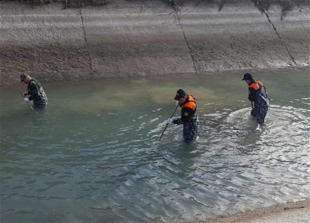 Силы МЧС продолжают поиски предположительно утонувшего подростка