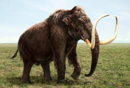 К 2028 году в мире появятся живые мамонты