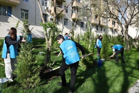 В рамках проекта «Наш двор» благоустроен еще один двор