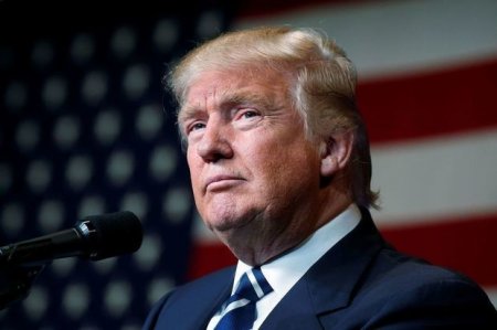 Большинство опрошенных американцев поддержали Трампа в преддверии выборов