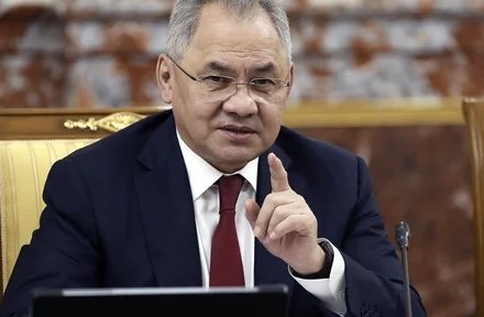 Шойгу назначен секретарем Совбеза