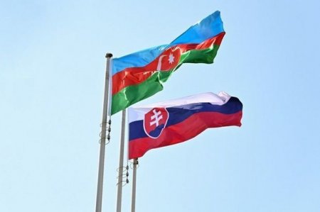 Азербайджан и Словакия подписали два меморандума о сотрудничестве