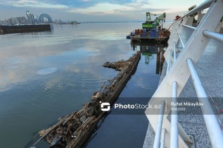 В Баку начали поднимать со дна моря останки судов, затонувших много лет назад
