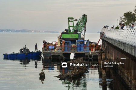 В Баку начали поднимать со дна моря останки судов, затонувших много лет назад