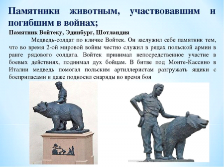 Животные, которые сыграли немаловажную роль в Великой Отечественной войне