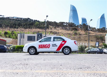 Таксопарки-партнёры Yango закупили и вывели на линию более 1000 новых машин