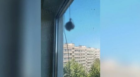 Висящая перед окном мужская голова шокировала питерцев
