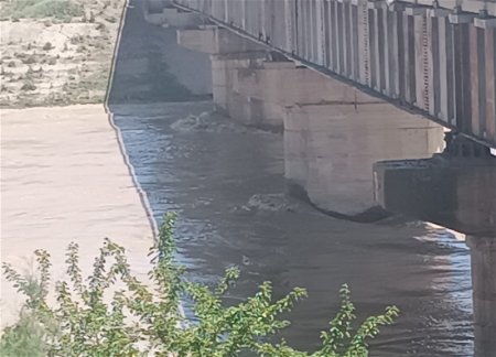 Разлив Куры нанес ущерб хозяйствам в Товузском районе