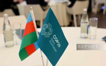 Более 16 тыс. человек подали заявки на участие в волонтерской программе COP29