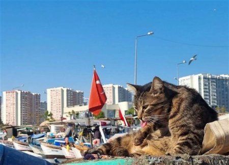 На Турцию надвигается аномальная жара