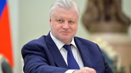 Миронов призвал казнить террористов