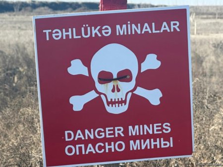 Азербайджан получит от ЕС на разминирование еще 10 млн