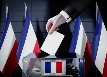 Во Франции начались досрочные парламентские выборы