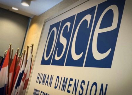 Россия приостанавливает участие в ПА ОБСЕ