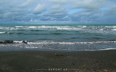 Температура морской воды на пляжах Абшерона составит 27° тепла