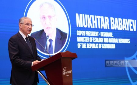 Министр: Изменения климата негативно сказываются на сельском хозяйстве Азербайджана
