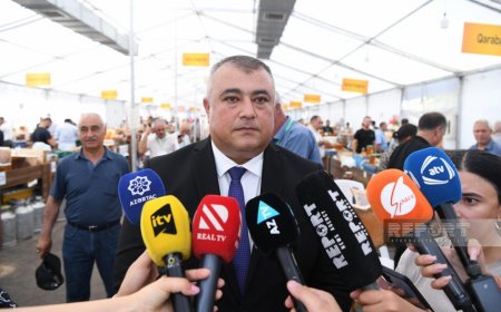 На ярмарке меда представлено около 120 тонн продукции