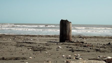 Обмеление Каспия обнажило почти 9 тыс. гектаров морского дна в Нефтчалинском районе