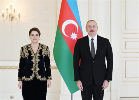Президент Ильхам Алиев принял верительные грамоты новоназначенного посла Алжира в Азербайджане