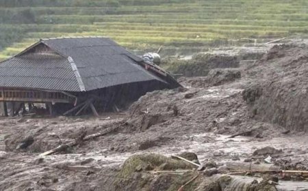 Азербайджан будет участвовать в восстановлении провинций Вьетнама, пострадавших от тайфуна Яги