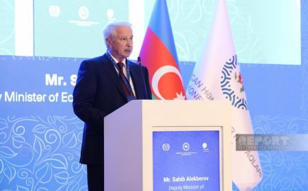 Замминистра: Азербайджан активно работает в борьбе с изменением климата