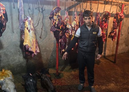 Задержаны лица, пытавшиеся продать в Баку непригодное для употребления в пищу лошадиное мясо под видом говядины