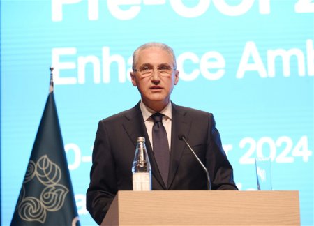 В рамках COP29 пройдет День человеческого развития