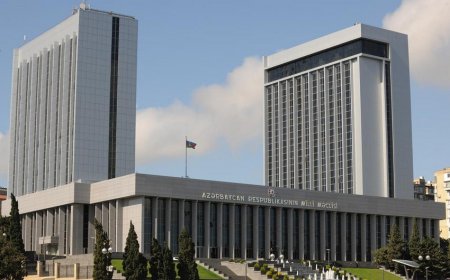 На освобожденных территориях можно создать около 110 муниципалитетов