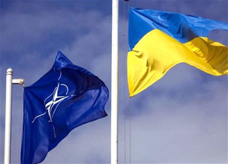 Постпред США: Ситуация не располагает к приглашению Украины в НАТО