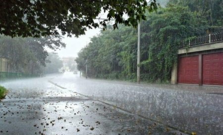 Управление дорожной полиции обратилось к пешеходам в связи с нестабильной погодойğ