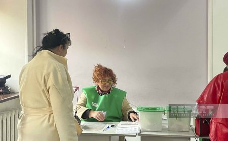 На парламентских выборах в Грузии зафиксированы незначительные инциденты