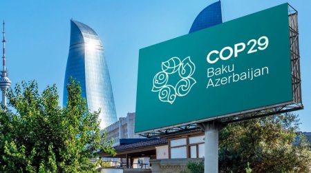 Для COP29 на Бакинском стадионе открыли 56 новых кафе-ресторанов