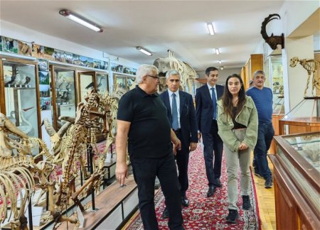 Лейла Алиева посетила Музей естественной истории 