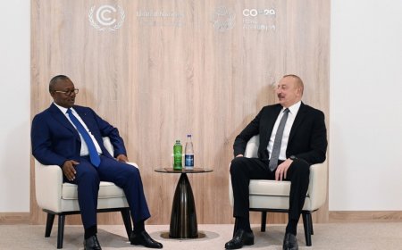 Президент Азербайджана встретился с президентом Гвинеи-Бисау