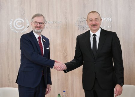 Ильхам Алиев встретился с премьер-министром Чешской Республики