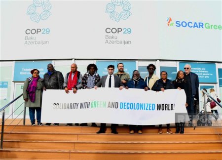 На COP29 прошла акция против колониальной политики Нидерландов и Франции