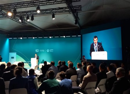 COP29: Создан совместный альянс известных футбольных клубов за борьбу с изменением климата