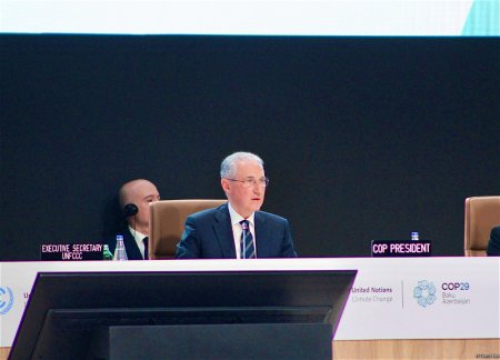Проходит заключительное пленарное заседание COP29