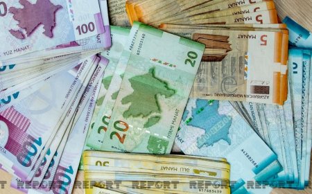 Дочерняя компания SOCAR завершила прошлый год с чистой прибылью в 11,5 млн манатов