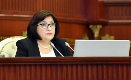 Сахиба Гафарова сделала замечание депутатам